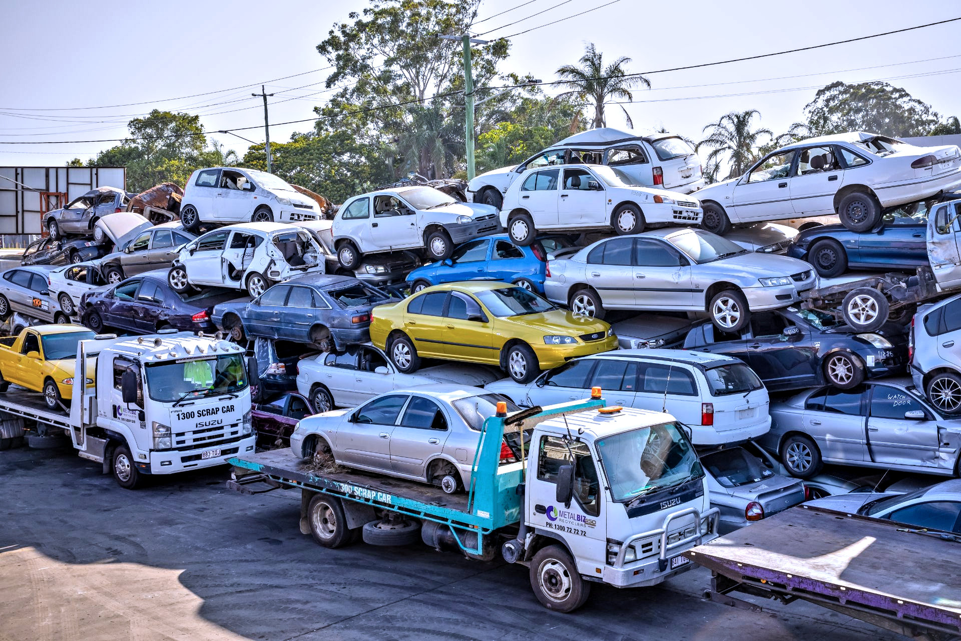 JUNK CARS YARD